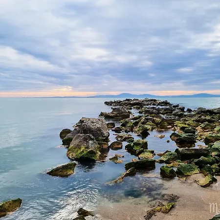 зара Burgas